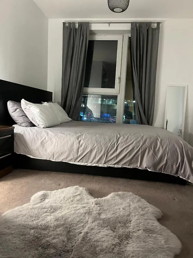Luxurious Dlr Apartment London