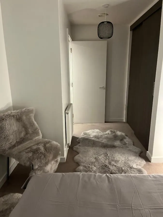 Luxurious Dlr Apartment London