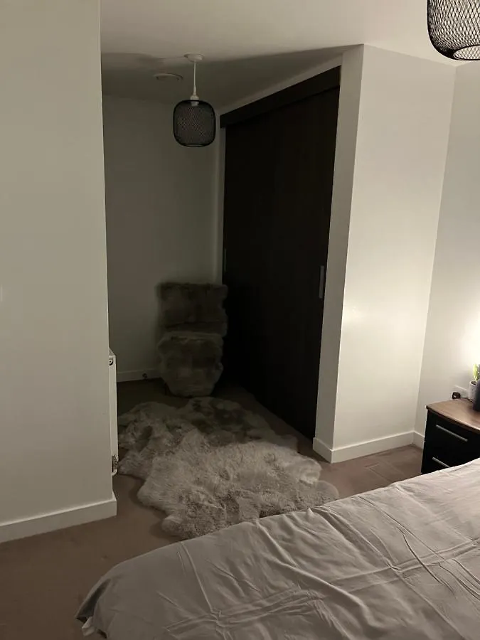 Luxurious Dlr Apartment London